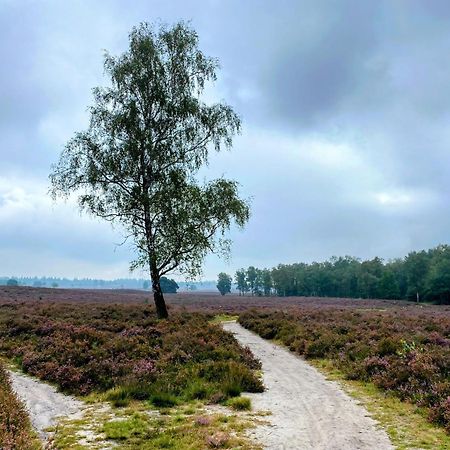 Huisje Aan De Bosrand - Veluwe 伊皮 外观 照片