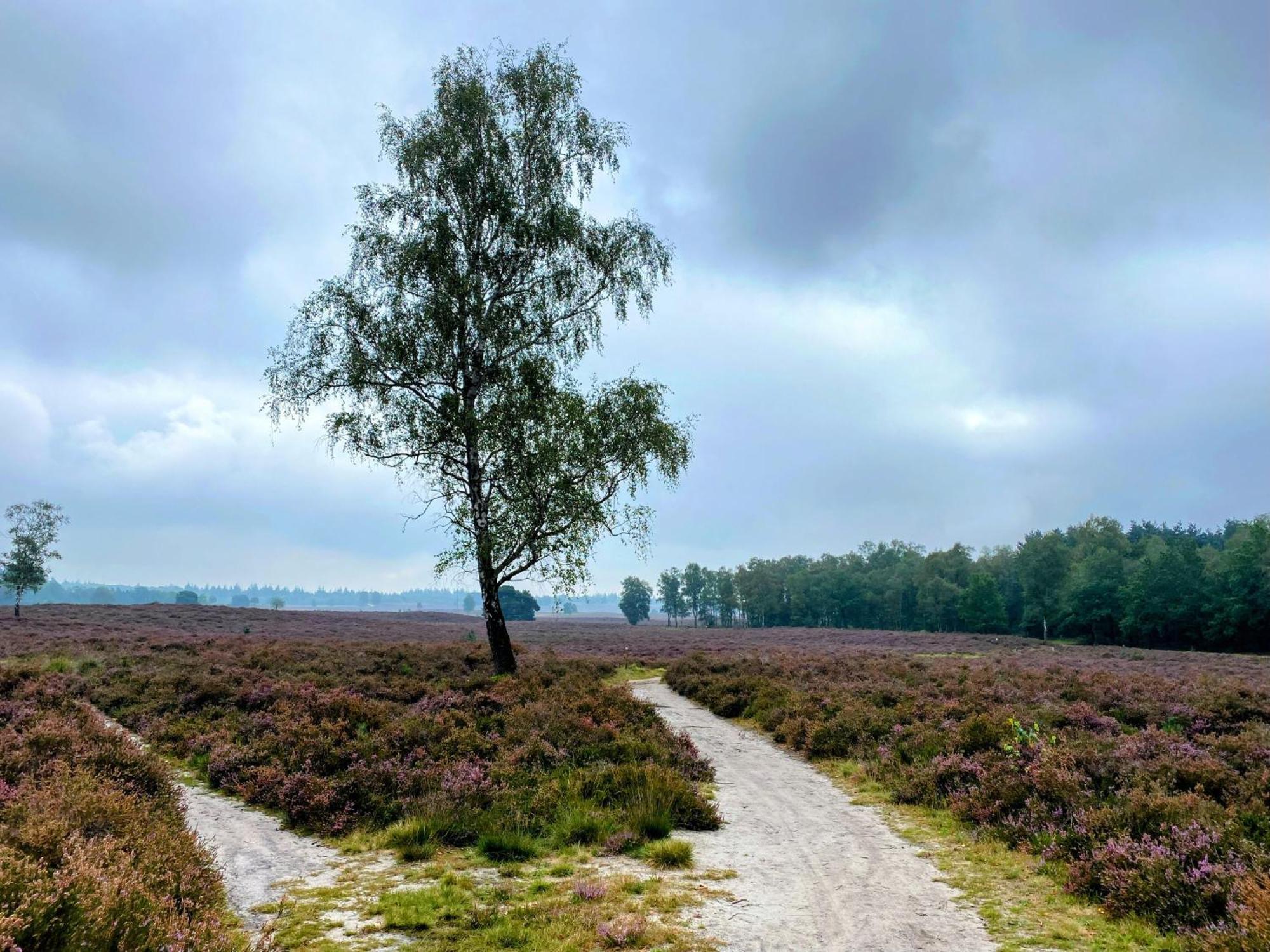 Huisje Aan De Bosrand - Veluwe 伊皮 外观 照片