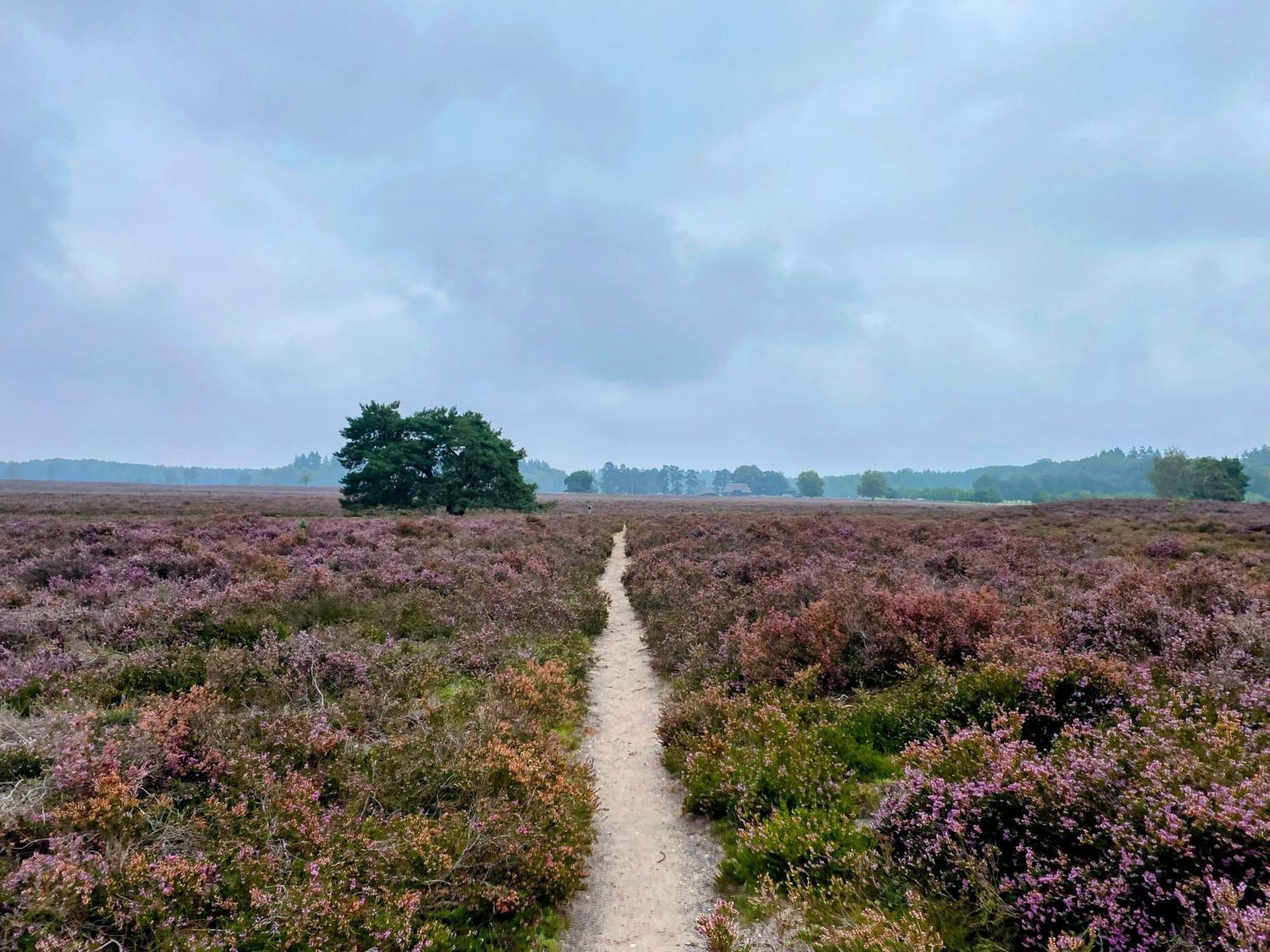 Huisje Aan De Bosrand - Veluwe 伊皮 外观 照片
